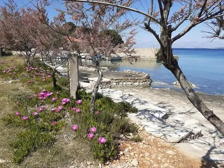 Apartment Renatare Ugljan Croatia